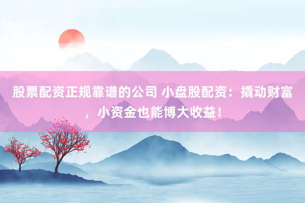 股票配资正规靠谱的公司 小盘股配资:撬动财富,小资金也能博大收益!
