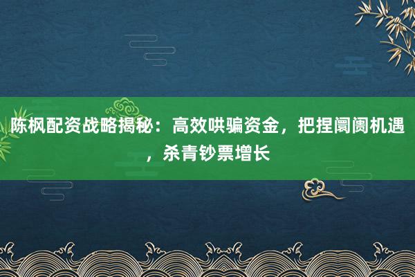 陈枫配资战略揭秘：高效哄骗资金，把捏阛阓机遇，杀青钞票增长