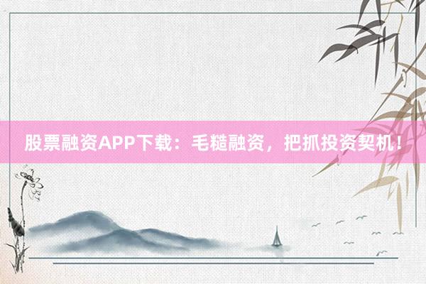 股票融资APP下载：毛糙融资，把抓投资契机！