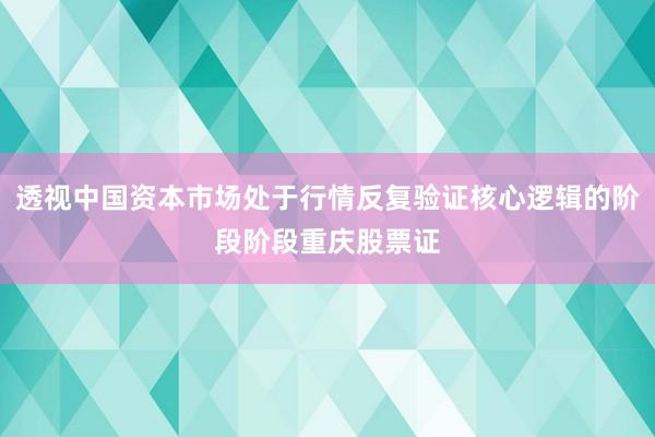 透视中国资本市场处于行情反复验证核心逻辑的阶段阶段重庆股票证