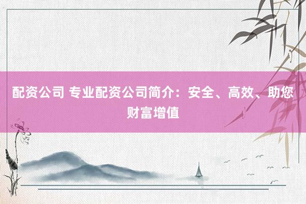 配资公司 专业配资公司简介：安全、高效、助您财富增值