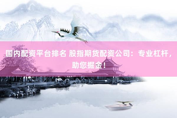 国内配资平台排名 股指期货配资公司：专业杠杆，助您掘金！